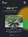 portada-amor-y-cocuy.webp